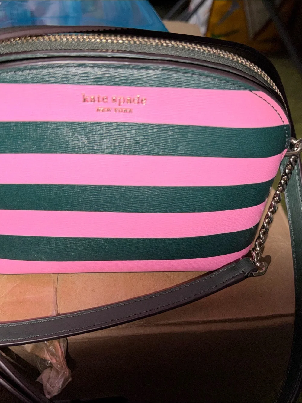 Kate Spade Pink Green Striped Leather Camera Crossbody Bag Gold Chain